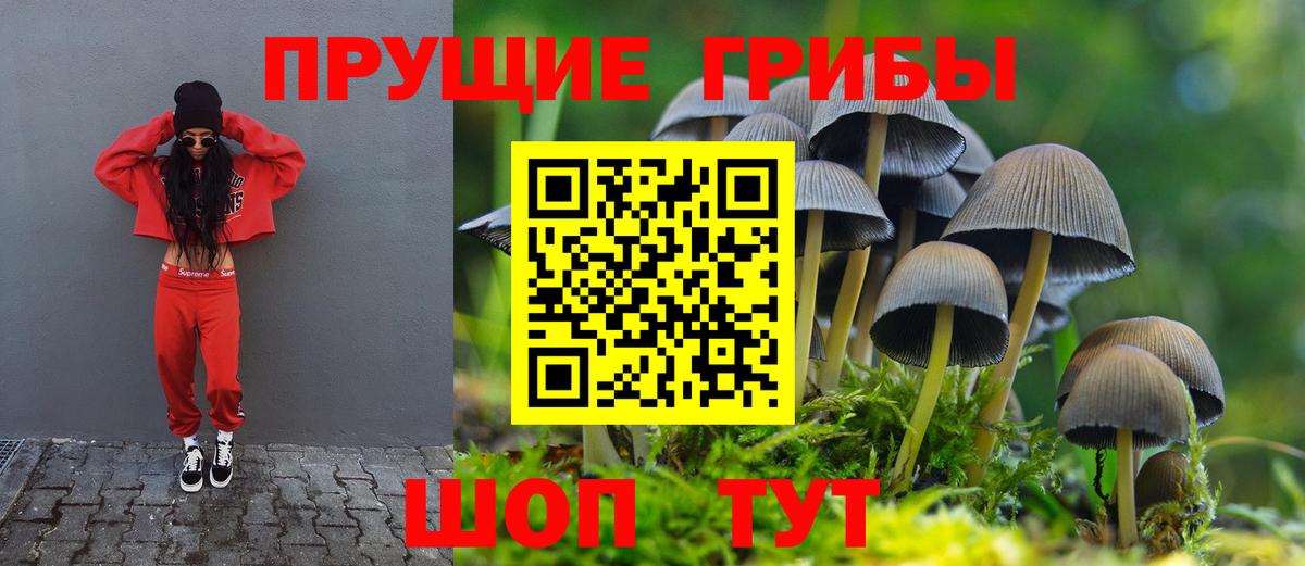 Галлюциногенные грибы мицелий  Вход с VPN  сколько стоит  Среднеуральск 